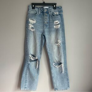 Vervet High Rise Straight Jeans